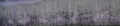 Grey old ancient wall retro used background long in panoramic web format and header