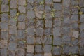 Grey old brick paving stones background. Road surface made of brown rectangular stones. Close up of the detail of colorful cobbles Royalty Free Stock Photo