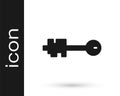 Grey Old key icon isolated on white background. Vector Illustration Royalty Free Stock Photo