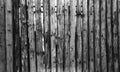 Grey Old Log Cabin Wall Texture. Dark Rustic House Log Wall. Horizontal Timbered Background Royalty Free Stock Photo