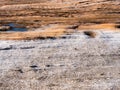 Grey and orange surface of rock on a beach