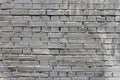 Grey painted brick wall Royalty Free Stock Photo