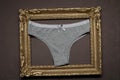 Grey panties in a wooden photo frame Royalty Free Stock Photo