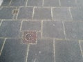 Grey paving slabs out of concrete with bright