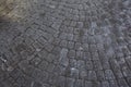 Grey paving stones. Pavement cobbled Greypaving