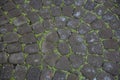 Grey paving stones. Pavement cobbled Greypaving Royalty Free Stock Photo