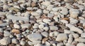 Grey pebbles and stones background texture found on the beach in St Audries Bay Somerset Royalty Free Stock Photo