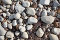 Grey pebbles and stones and shingle, a background texture found on the beach in St Audries Bay Somerset