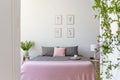 Grey pillows on pink bed in bright hotel bedroom interior with p