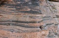 Grey and pink gneiss metamorphic rock Royalty Free Stock Photo