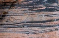 Grey and pink gneiss metamorphic rock.. Royalty Free Stock Photo