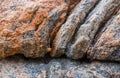 Grey and pink gneiss metamorphic rock.. Royalty Free Stock Photo