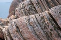 Grey and pink gneiss metamorphic rock Royalty Free Stock Photo