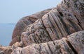 Grey and pink gneiss metamorphic rock Royalty Free Stock Photo