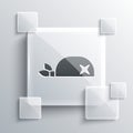 Grey Pirate bandana for head icon isolated on grey background. Square glass panels. Vector
