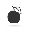 Grey Plum fruit icon isolated on white background. Vector Royalty Free Stock Photo