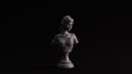 Grey Polished Stone Lady Bust Sculpture