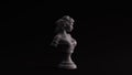 Grey Polished Stone Lady Bust Sculpture