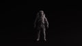 Grey Polished Stone Spaceman Astronaut Cosmonaut