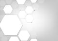 Grey polygonal abstract geometric background, Vector illustrator Royalty Free Stock Photo