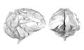 Grey polygonal brain Royalty Free Stock Photo