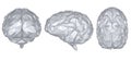 Grey polygonal brain