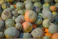 Grey pumpkins named Confection Royalty Free Stock Photo