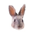 Grey rabbit portrait low poly. Abstract polygonal illustration.