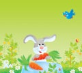 Grey rabbit and red-ripe carrot