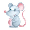 Grey rat character Watercolor mouse illustration