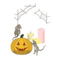 Grey rats, Jack O Lantern, spiderwebs and candles on white isolated background, vector illustration to make prints and strikers or