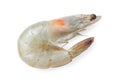 Grey raw shrimp prawn isolated on white with head Royalty Free Stock Photo