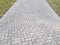 Grey rectangle brick path and green grass