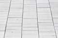 Grey rectangle stone tiles texture at local public park sidewalk on warm sunny summer day