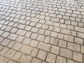 Grey rectangular rock or stone tiles on ground