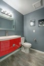 Grey and red bathroom design in a freshly renovated home.