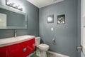 Grey and red bathroom design in a freshly renovated home.