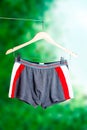 Grey and red men's boxer briefs Royalty Free Stock Photo