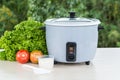 Grey rice cooker Royalty Free Stock Photo