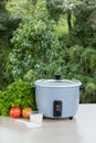 Grey rice cooker Royalty Free Stock Photo