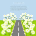 Grey road with white daisies on the green roadside, blue sky, background, vector Royalty Free Stock Photo