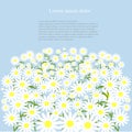 Grey road with white daisies on the green roadside, blue sky, background, vector Royalty Free Stock Photo