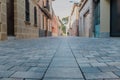 Grey rock stone bricks on a urban pedestrian straight street