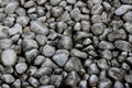 Grey rocks and pebbles stones texture on a natural surface outside, with high contrast with highlights Royalty Free Stock Photo
