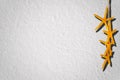 Grey roughcast wall background texture with yellow starfish Royalty Free Stock Photo