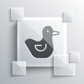 Grey Rubber duck icon isolated on grey background. Square glass panels. Vector