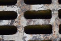 Grey Rust Storm Sewer Inlet Grate Royalty Free Stock Photo