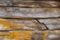 Grey and rustic and aged planks closeup with green moss.