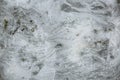 Grey sand background. Texture of ground Royalty Free Stock Photo