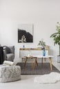 Grey scandinavian sofa in bright living room interior